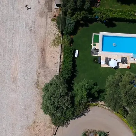 Beachfront - Pool